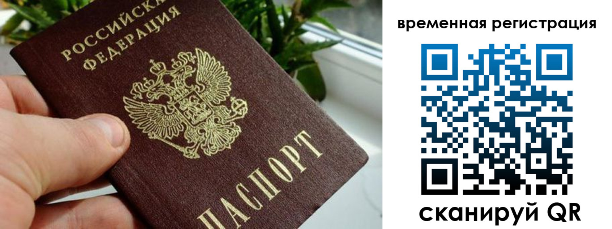 прописка поиск в Кондопоге